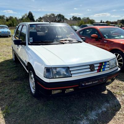 309 gti