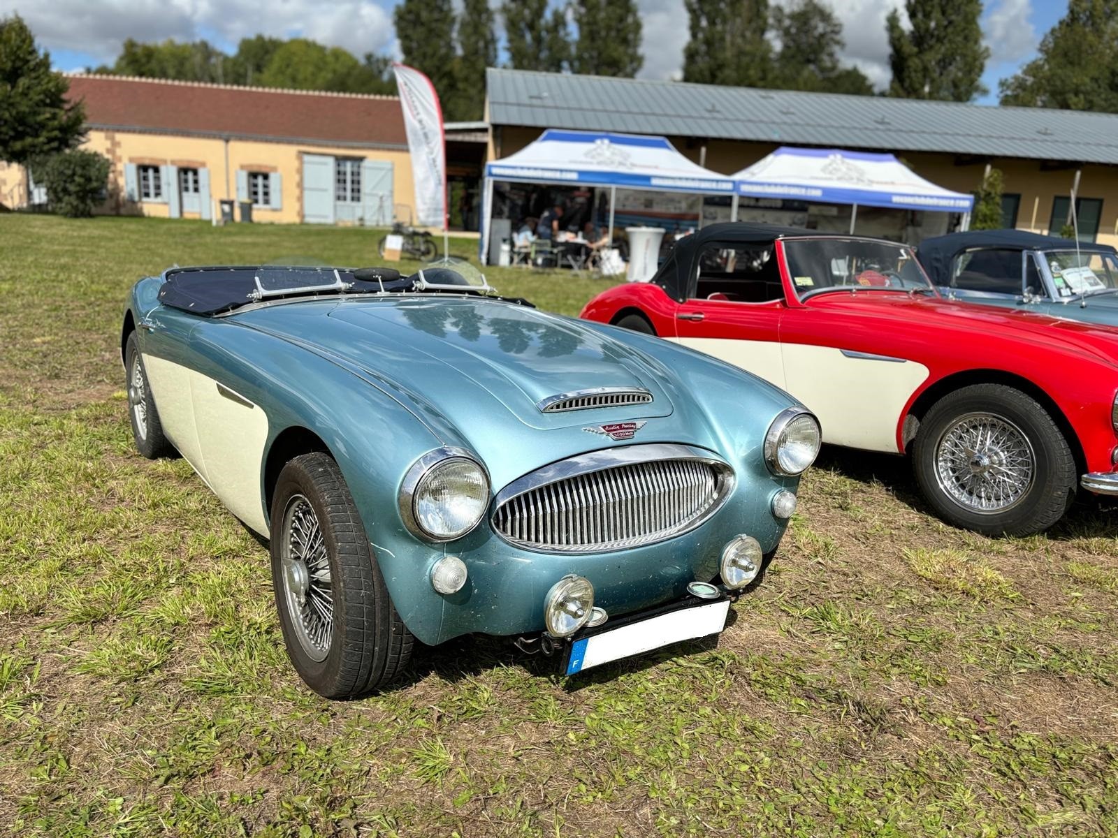 Austine healey 2