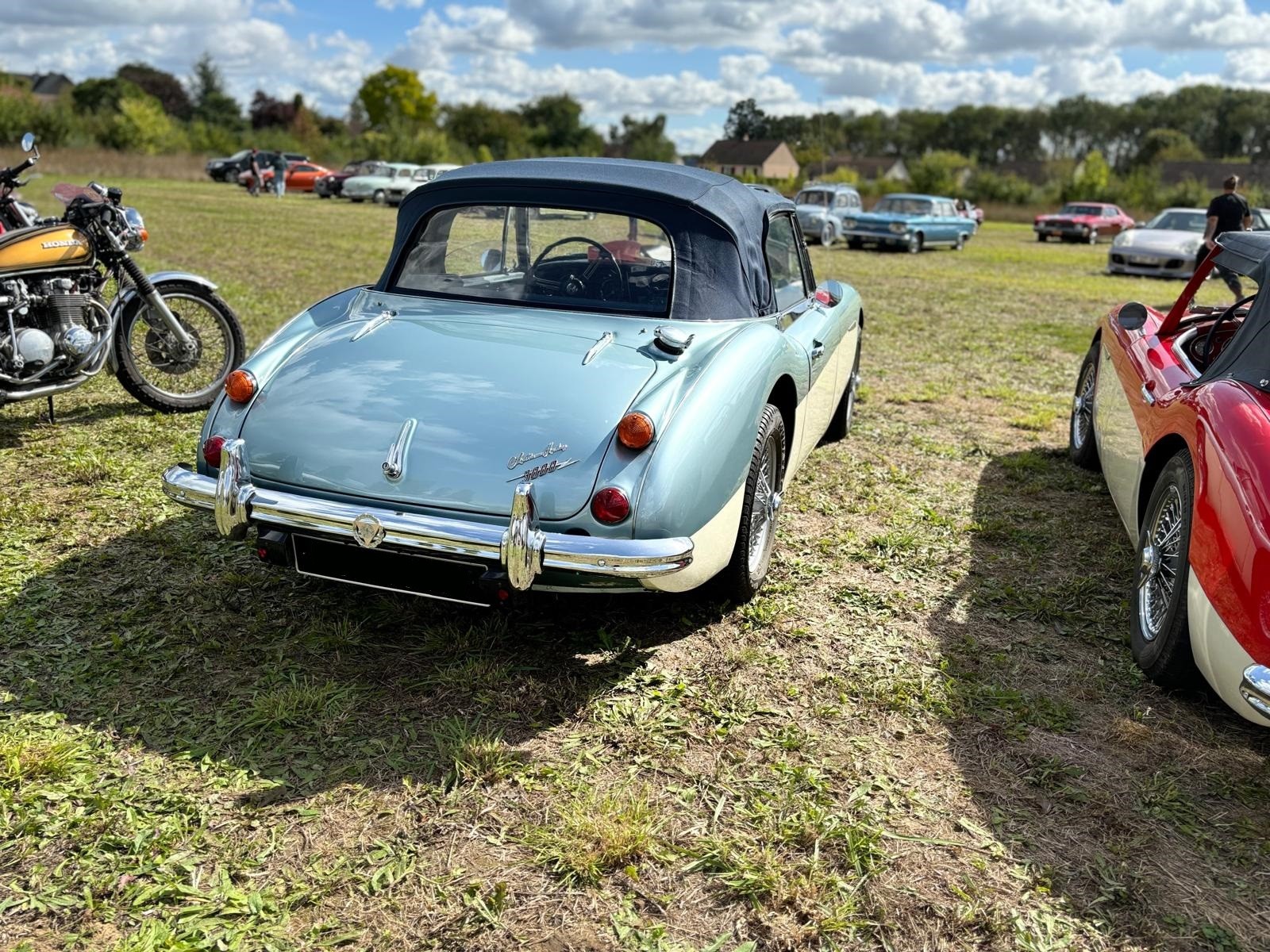 Austine healey cab 2