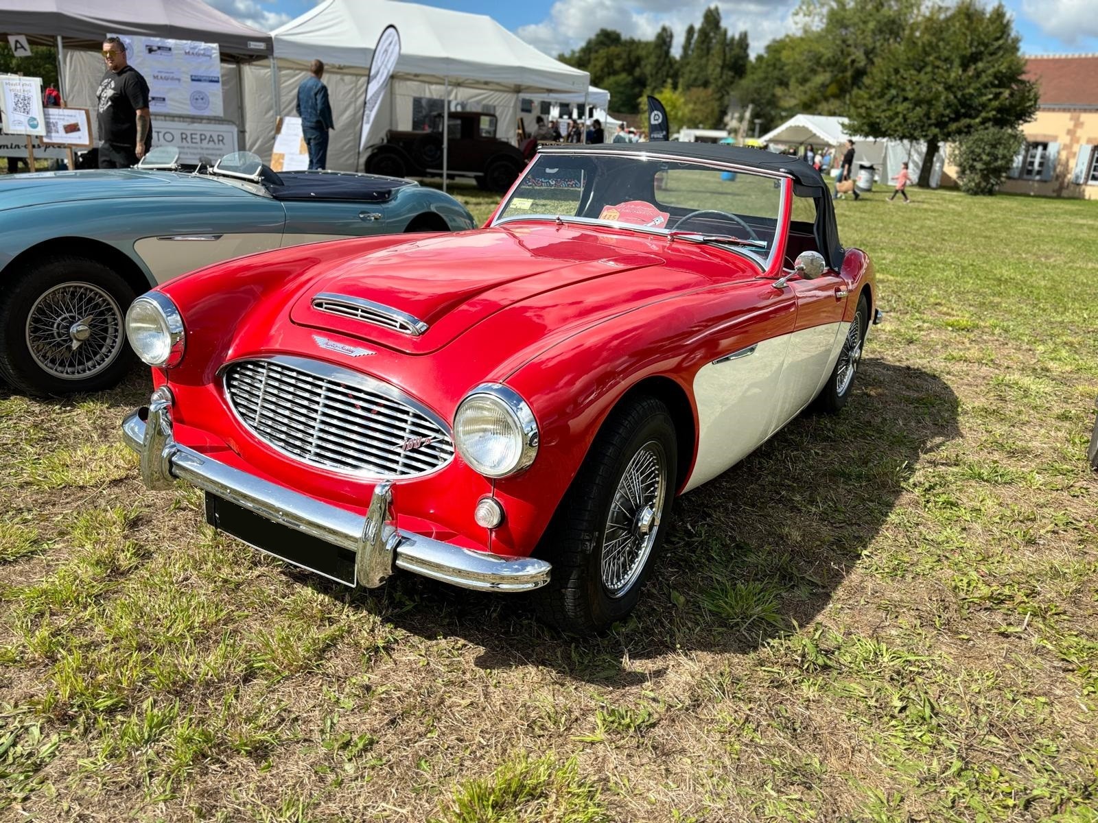 Austine healey rouge 1