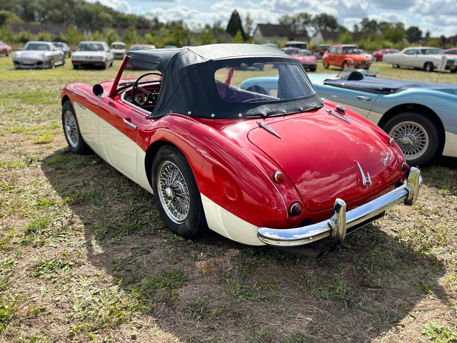 Austine healey rouge 2