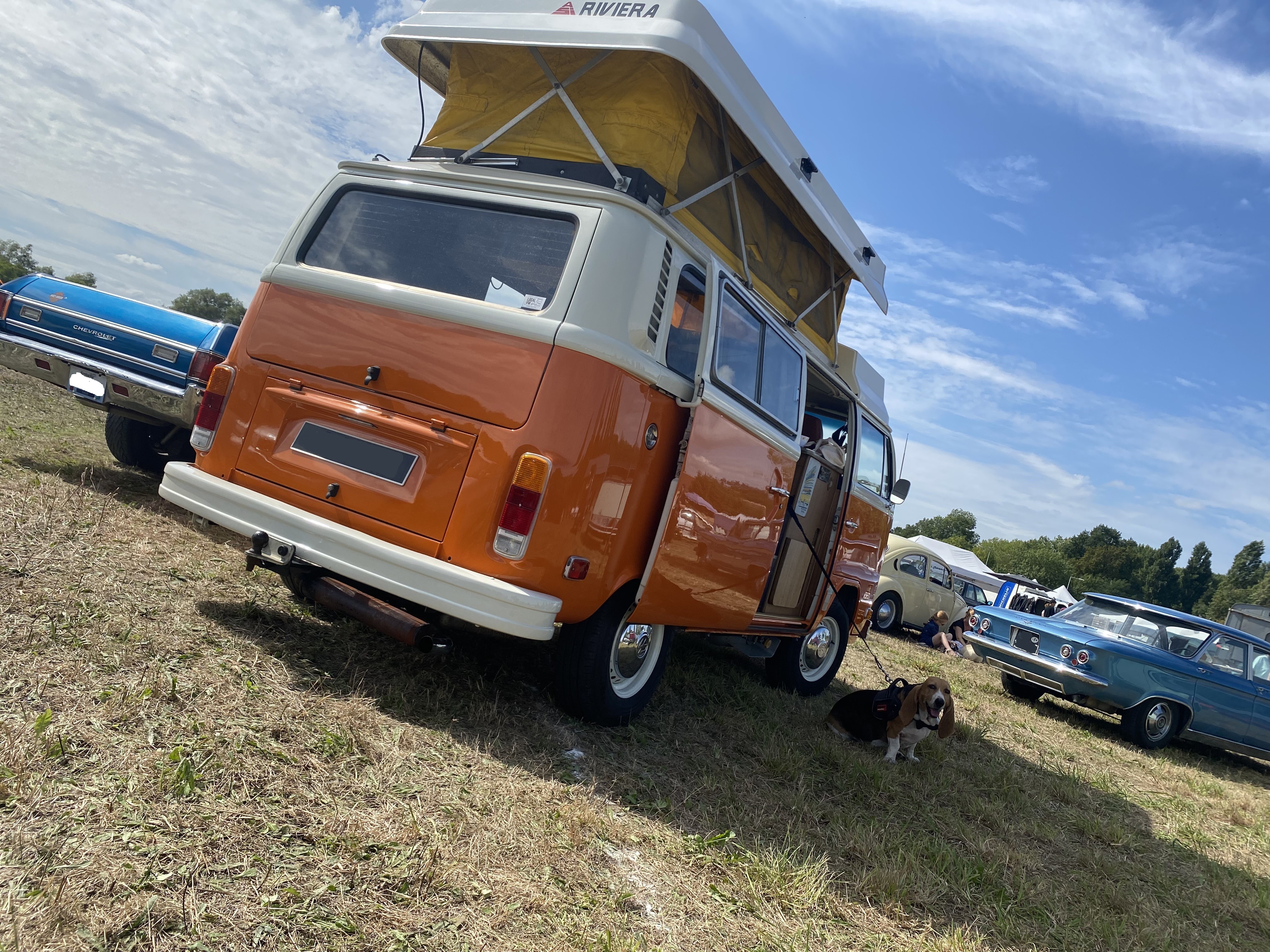 Combi orange 2