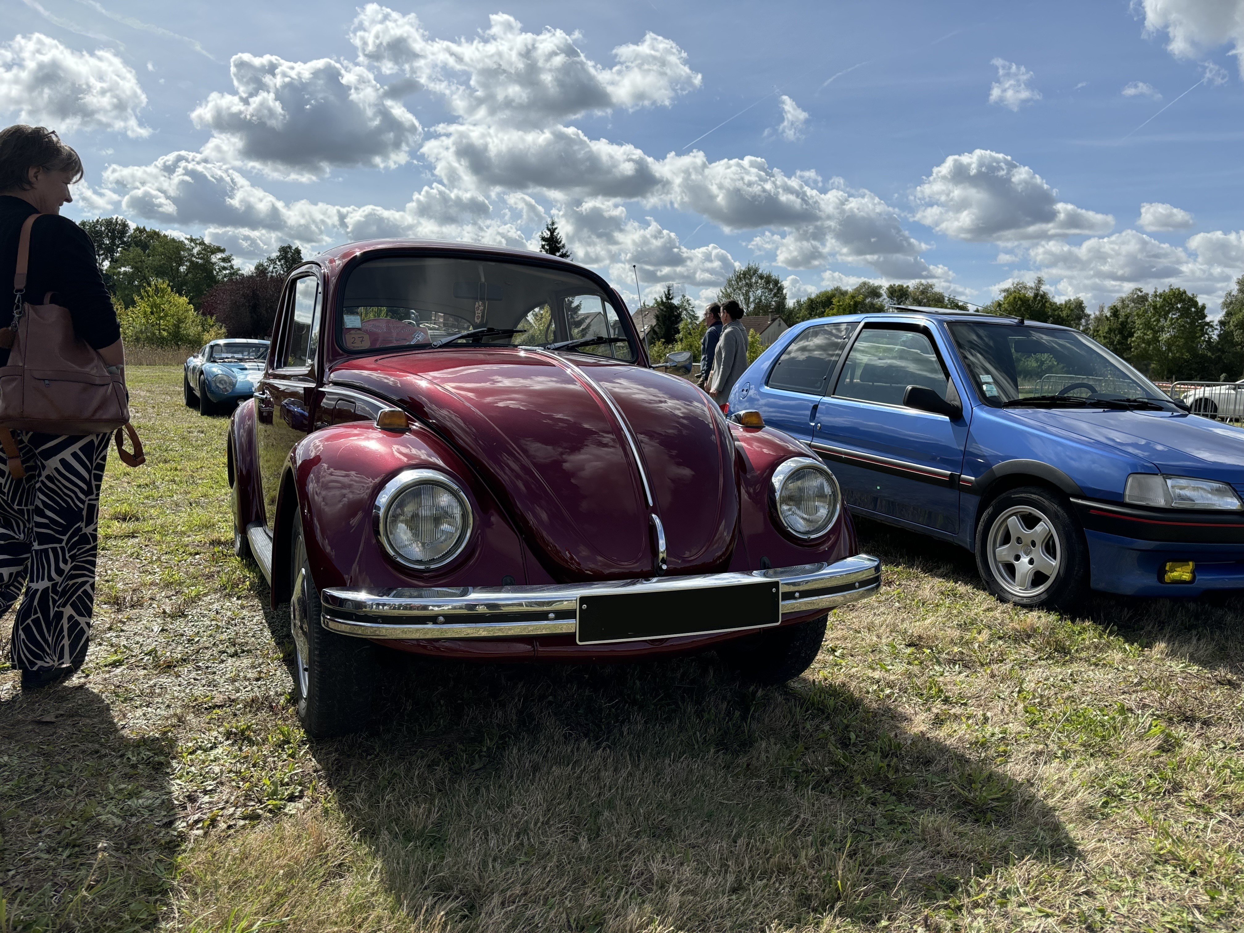 Cox bordeaux 1