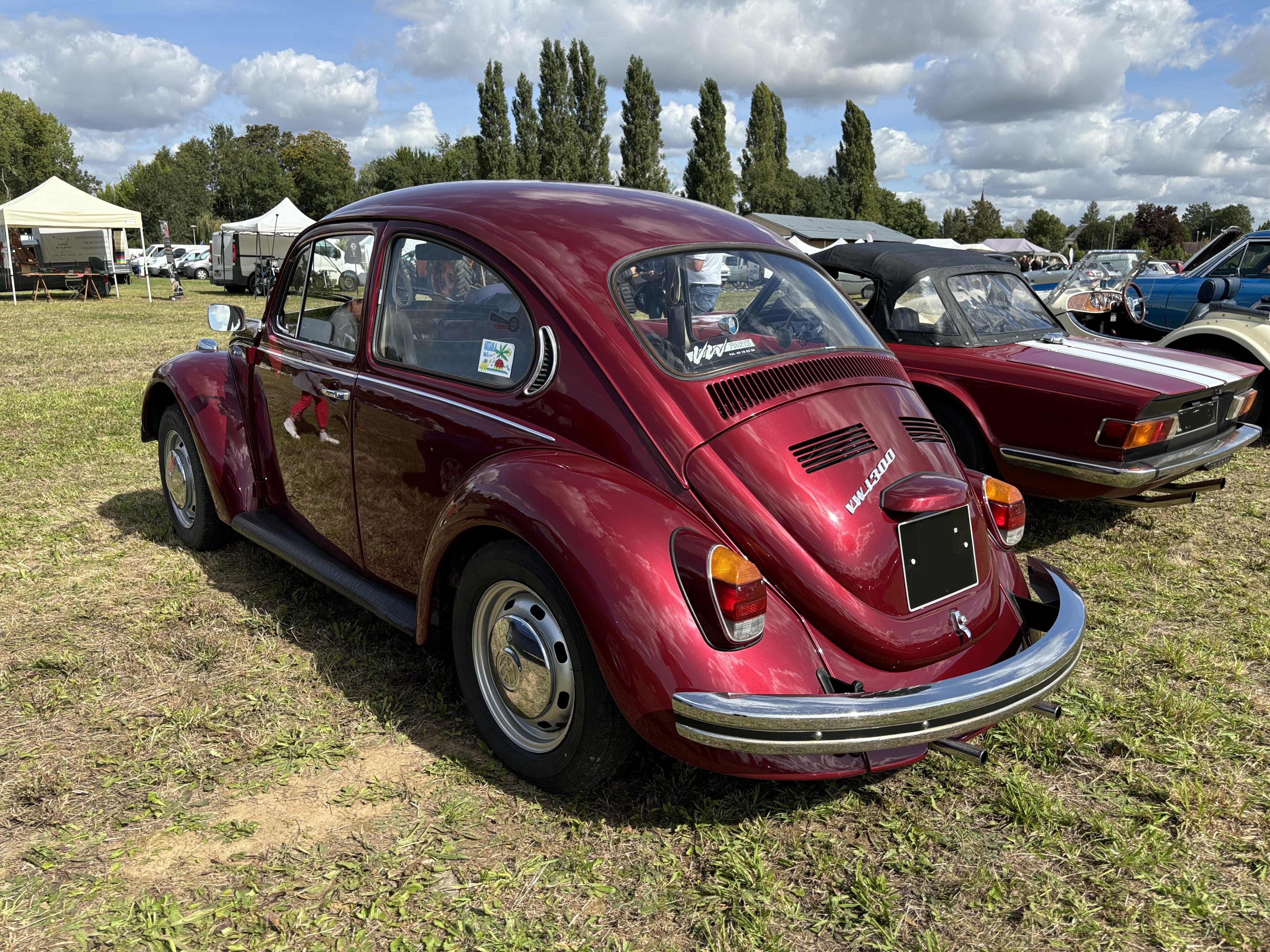 Cox bordeaux 2