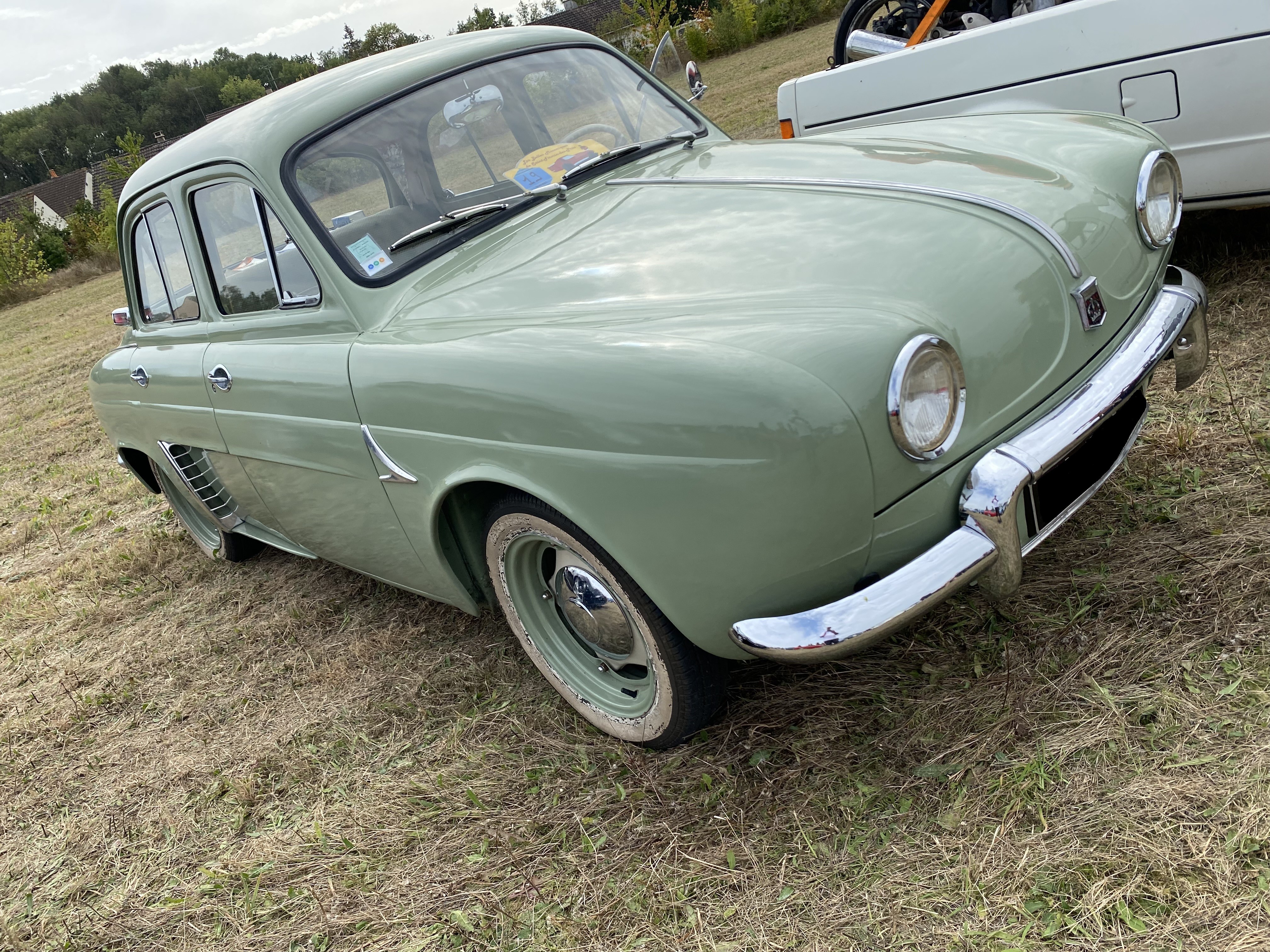 Dauphine verte 1