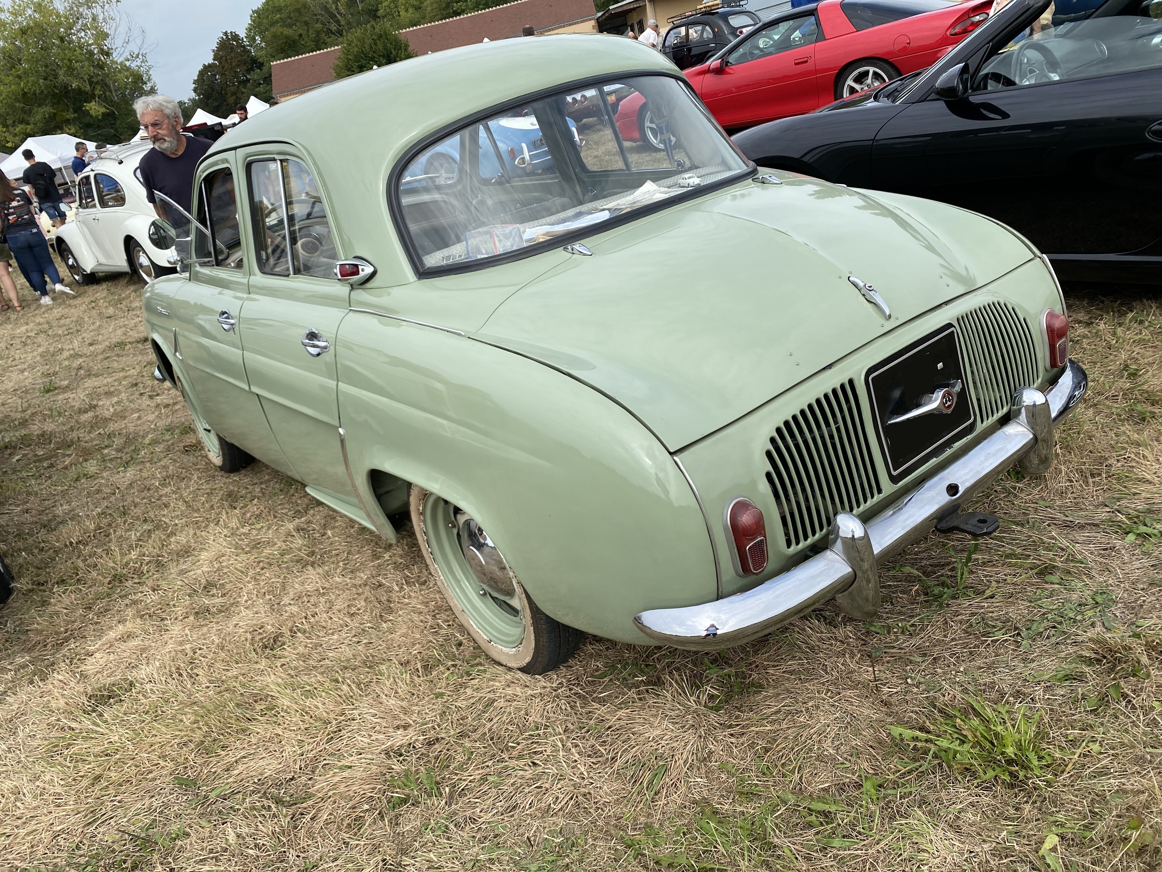 Dauphine verte 2