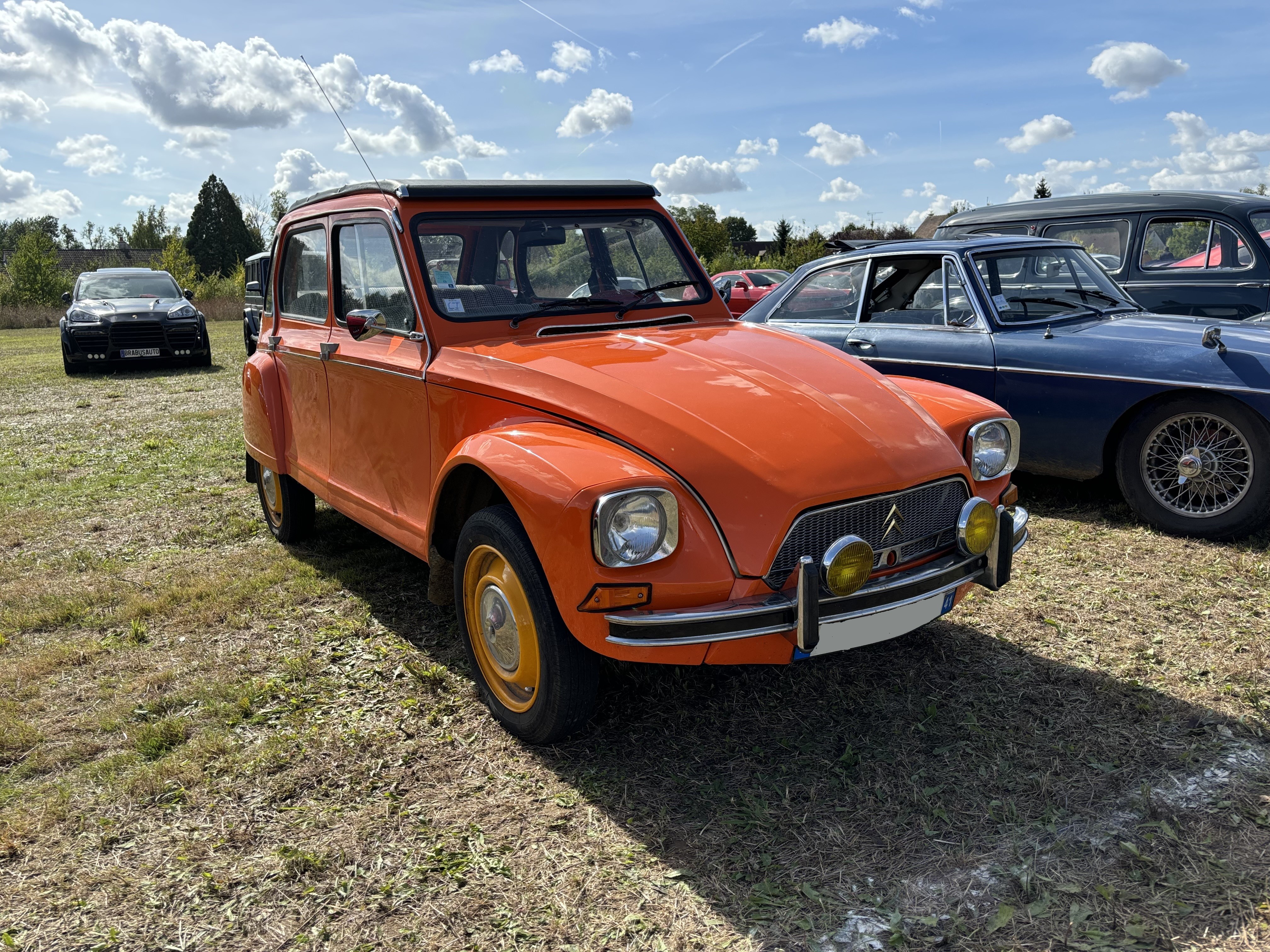Diane 6 1