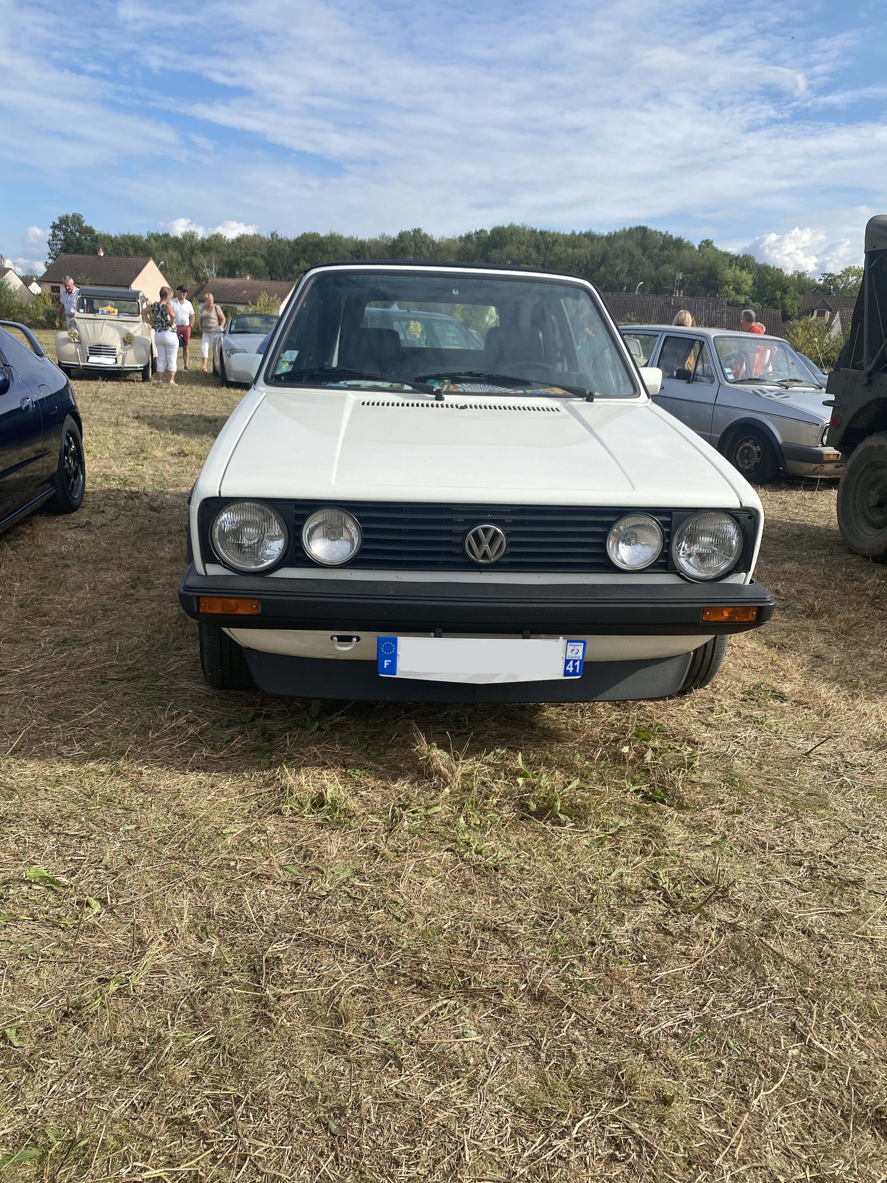 Golf cab 1