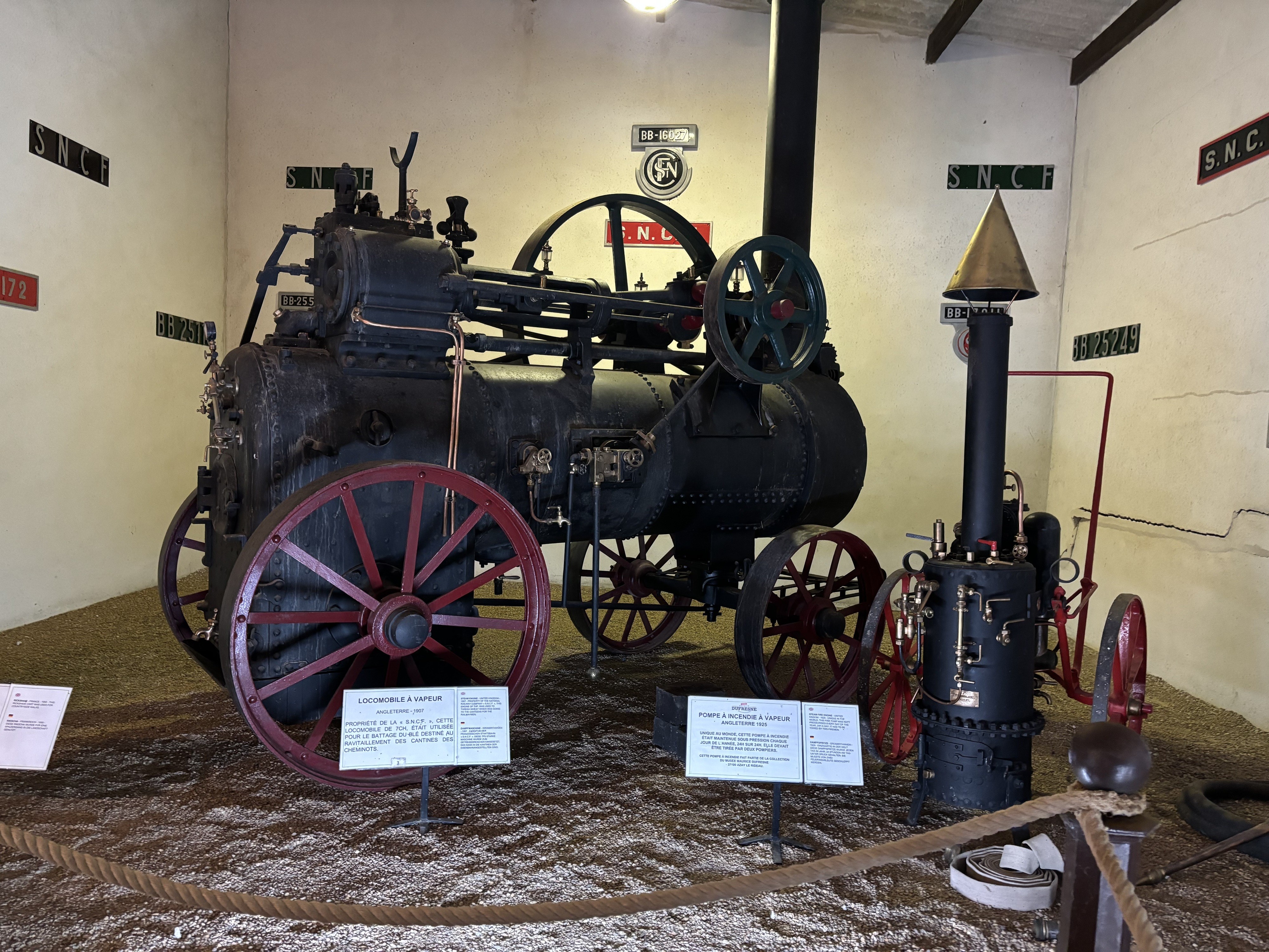 Img 7568