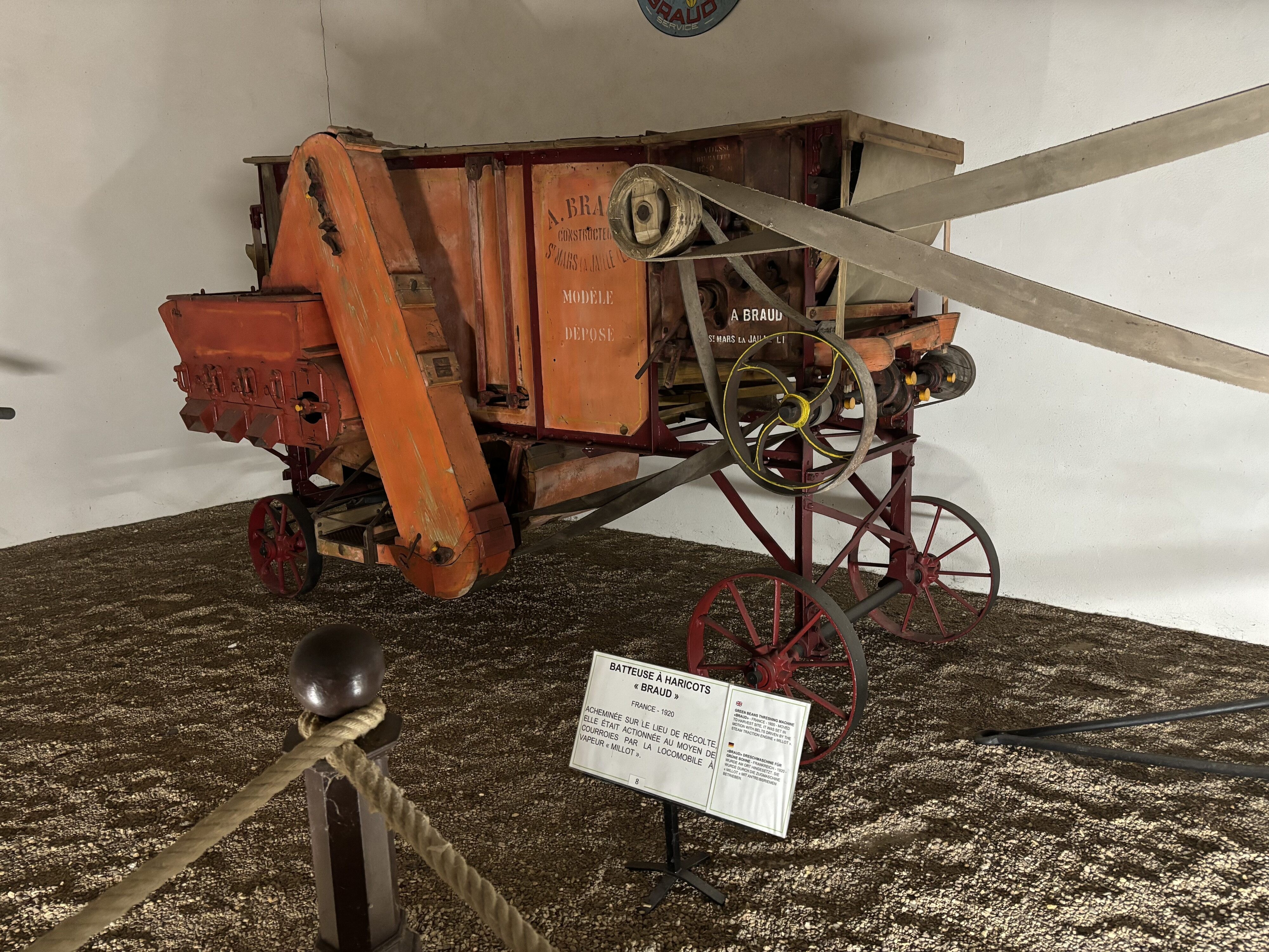 Img 7575