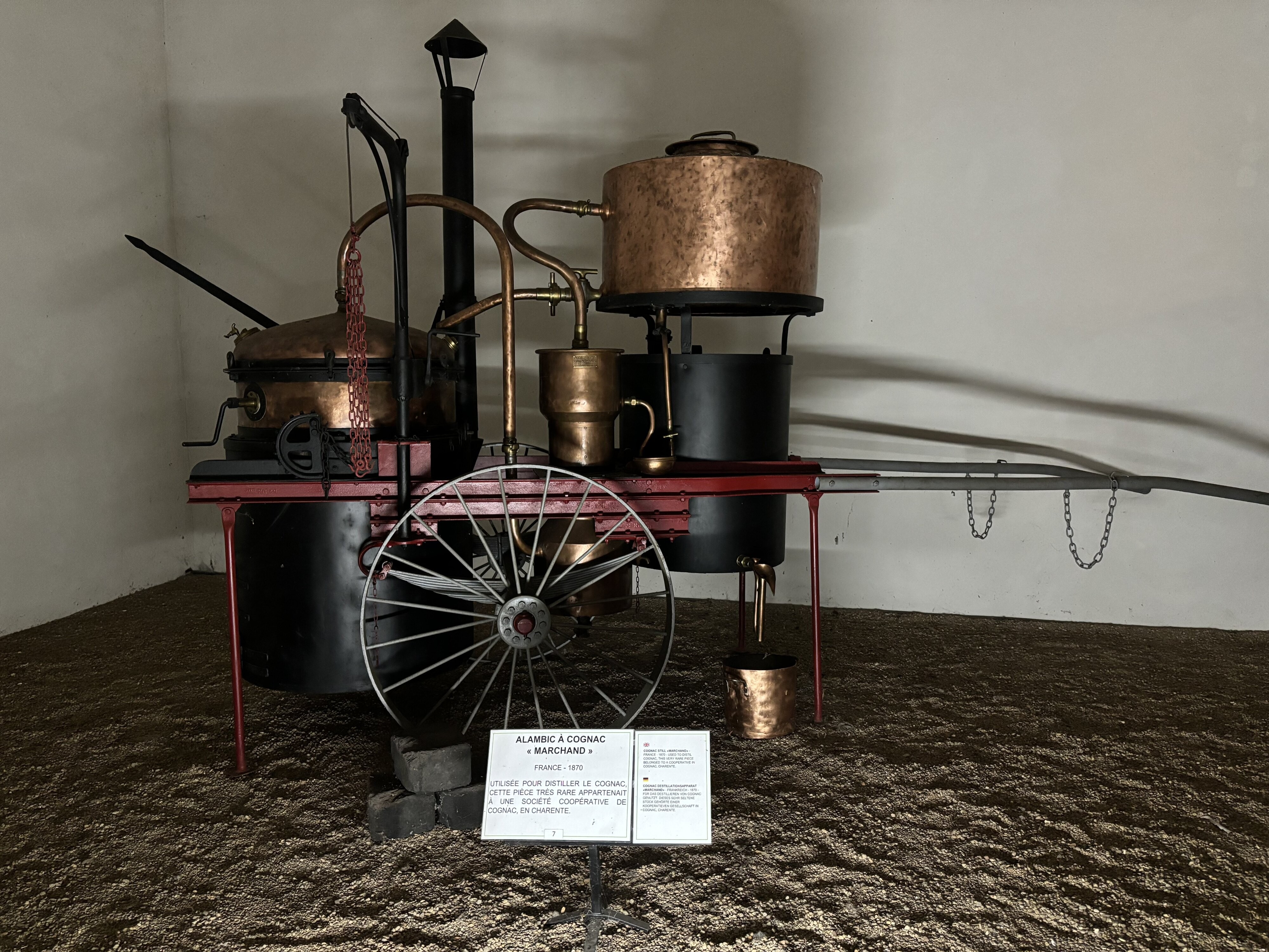 Img 7576