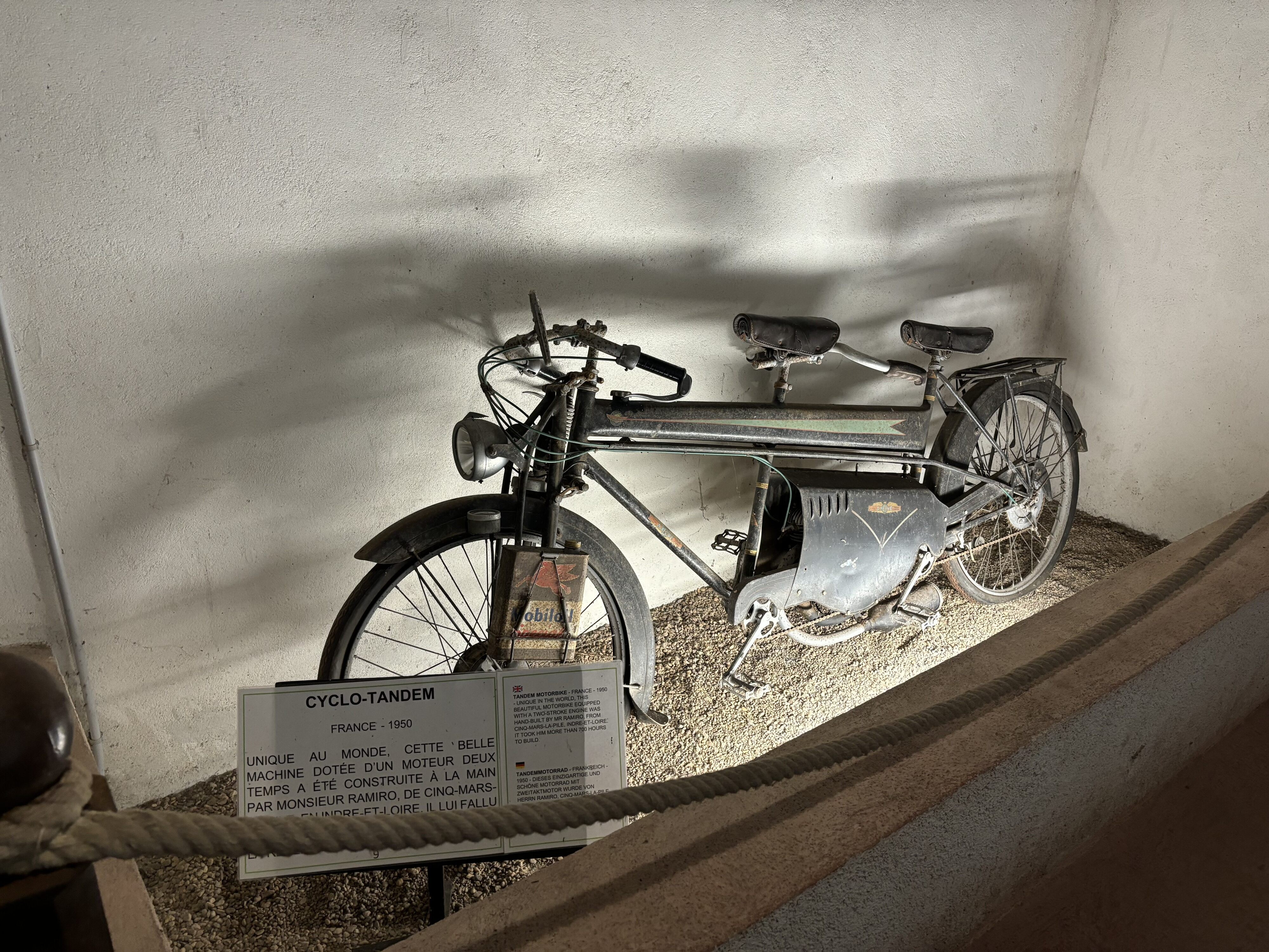 Img 7698
