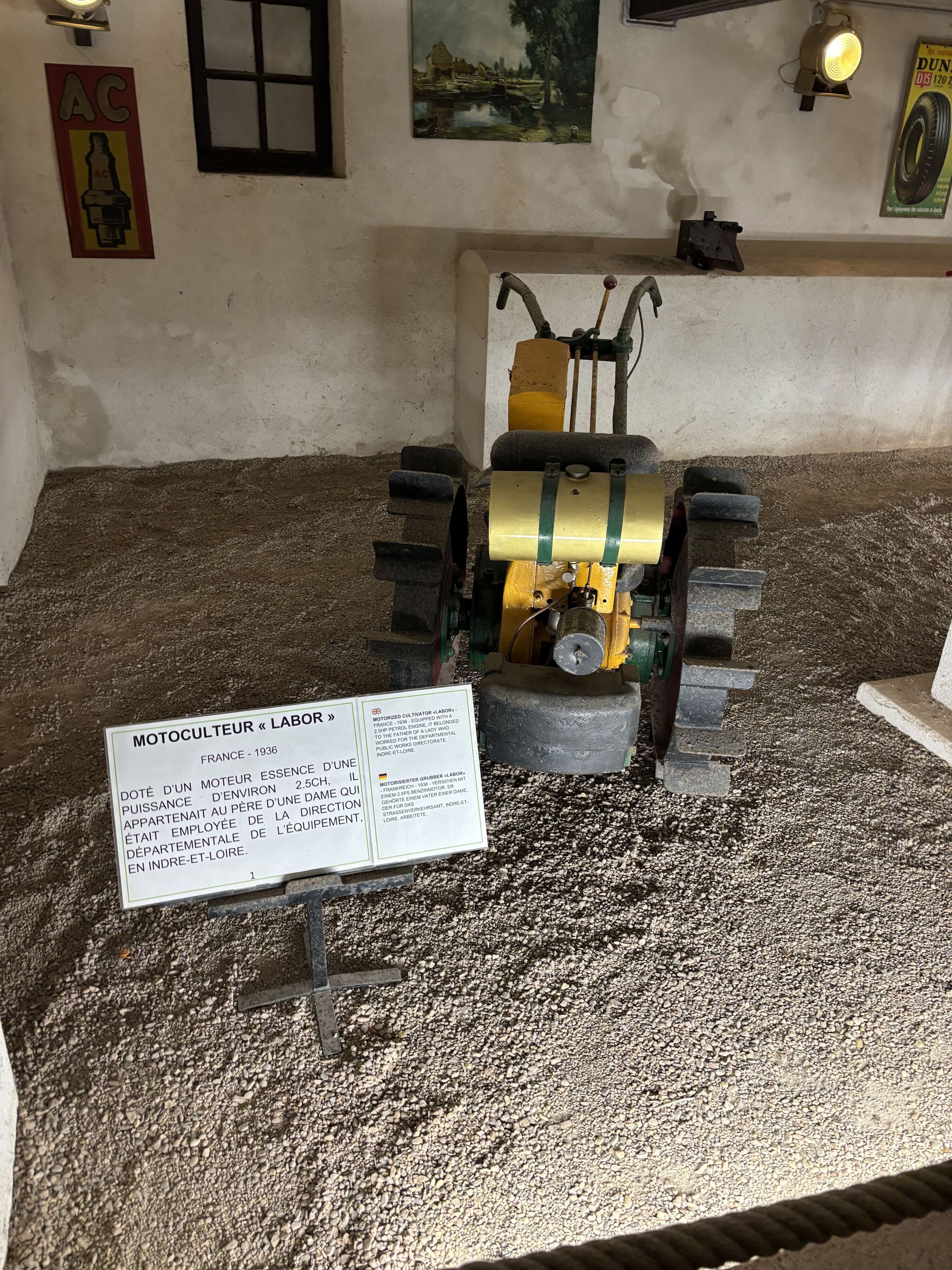 Img 7706
