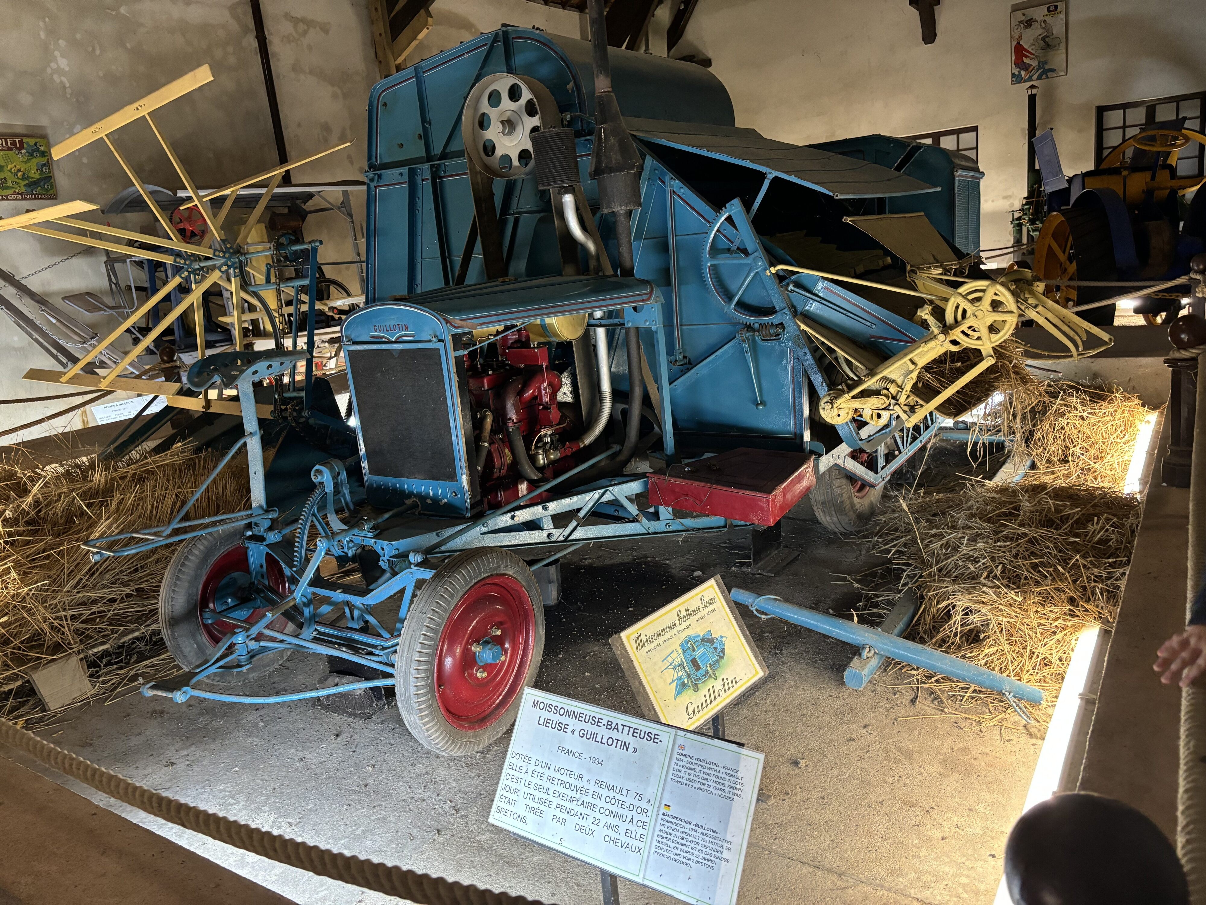 Img 7751
