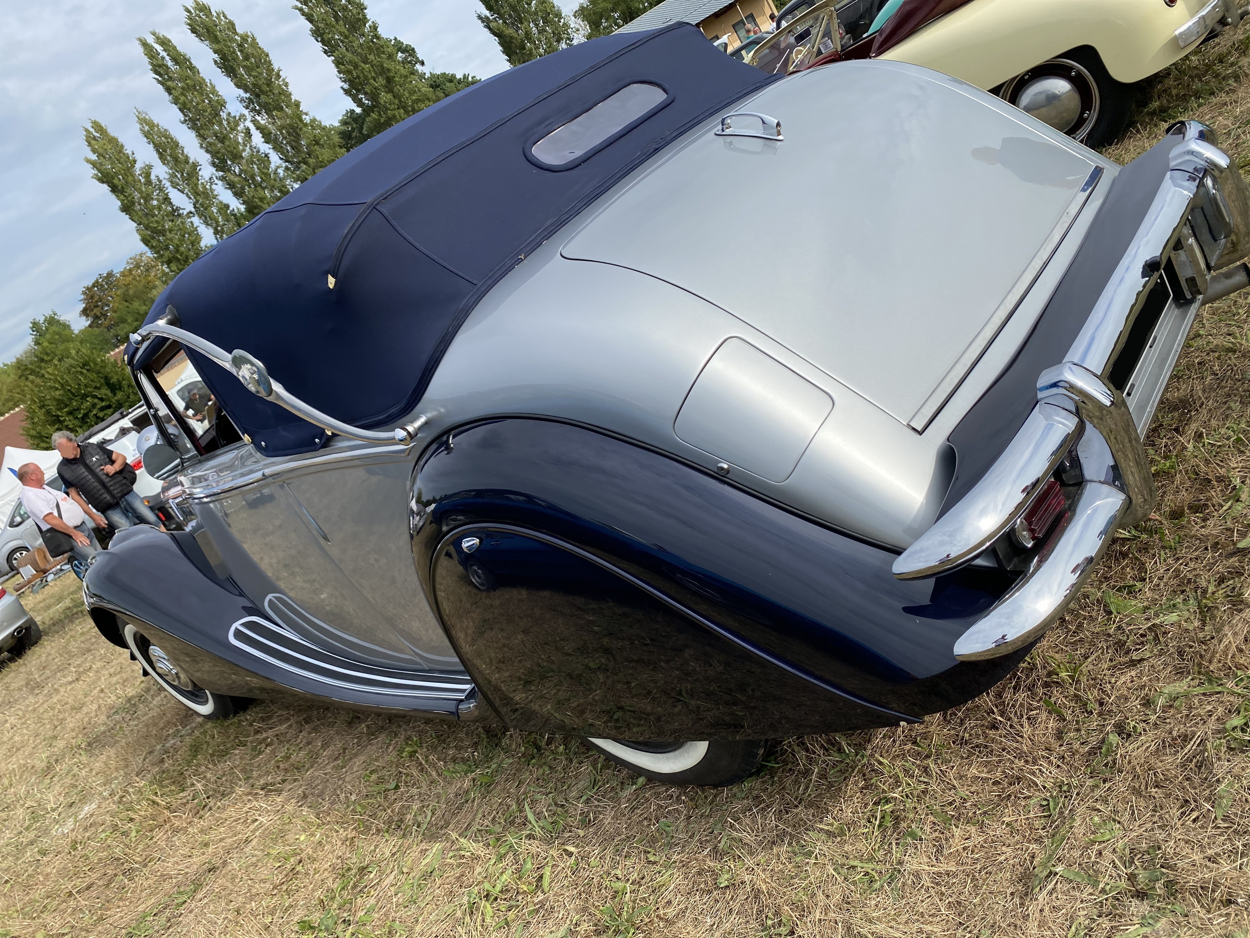 Jaguar 3