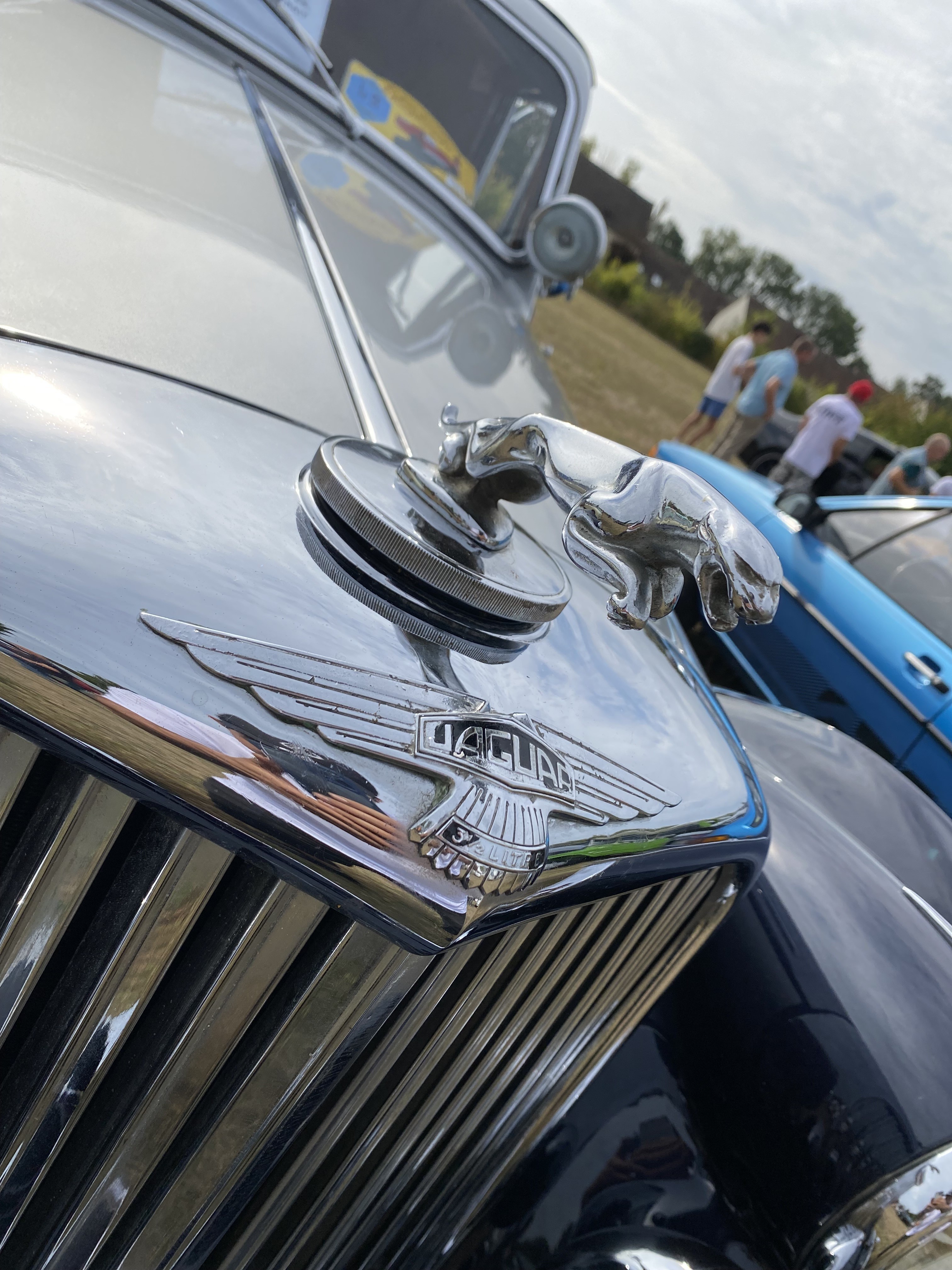Jaguar 5