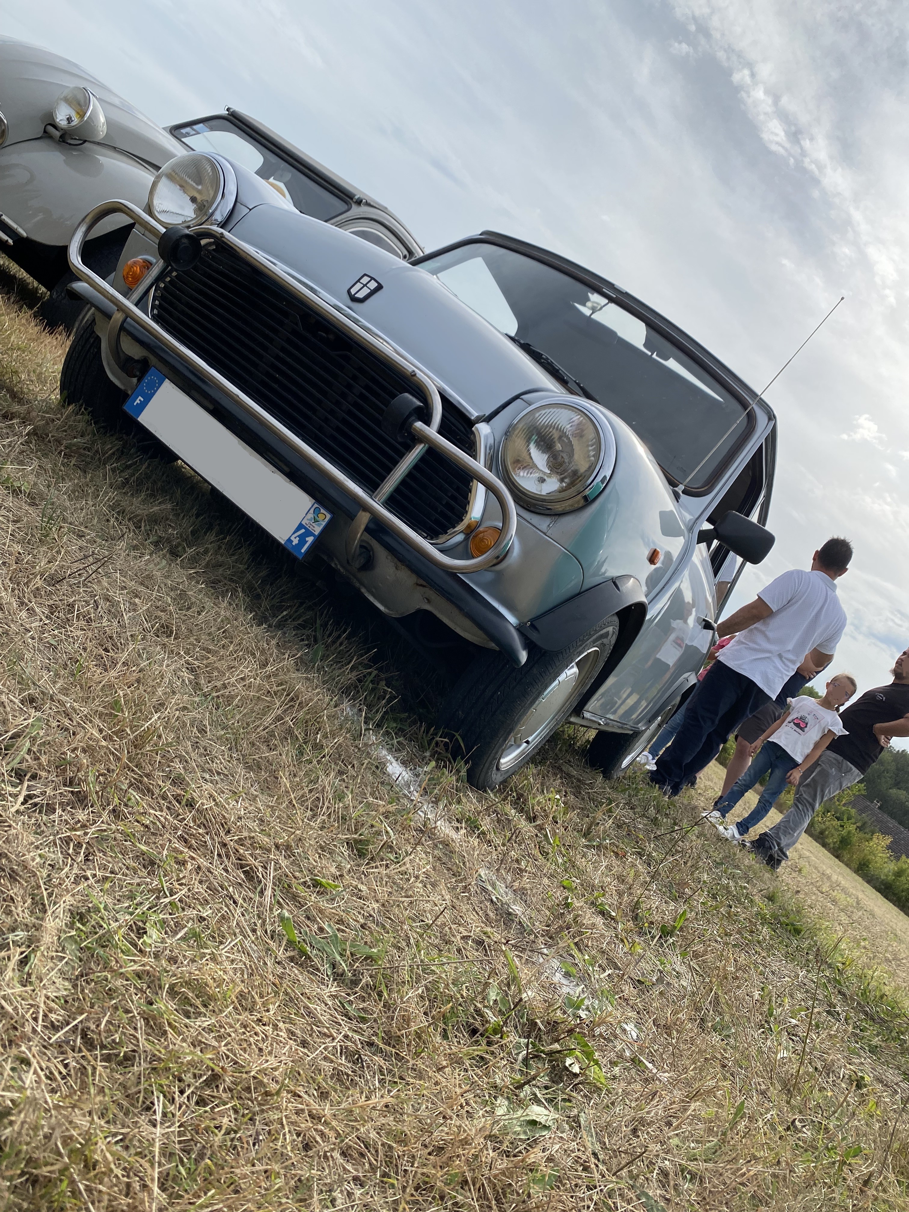 Mini grise 1