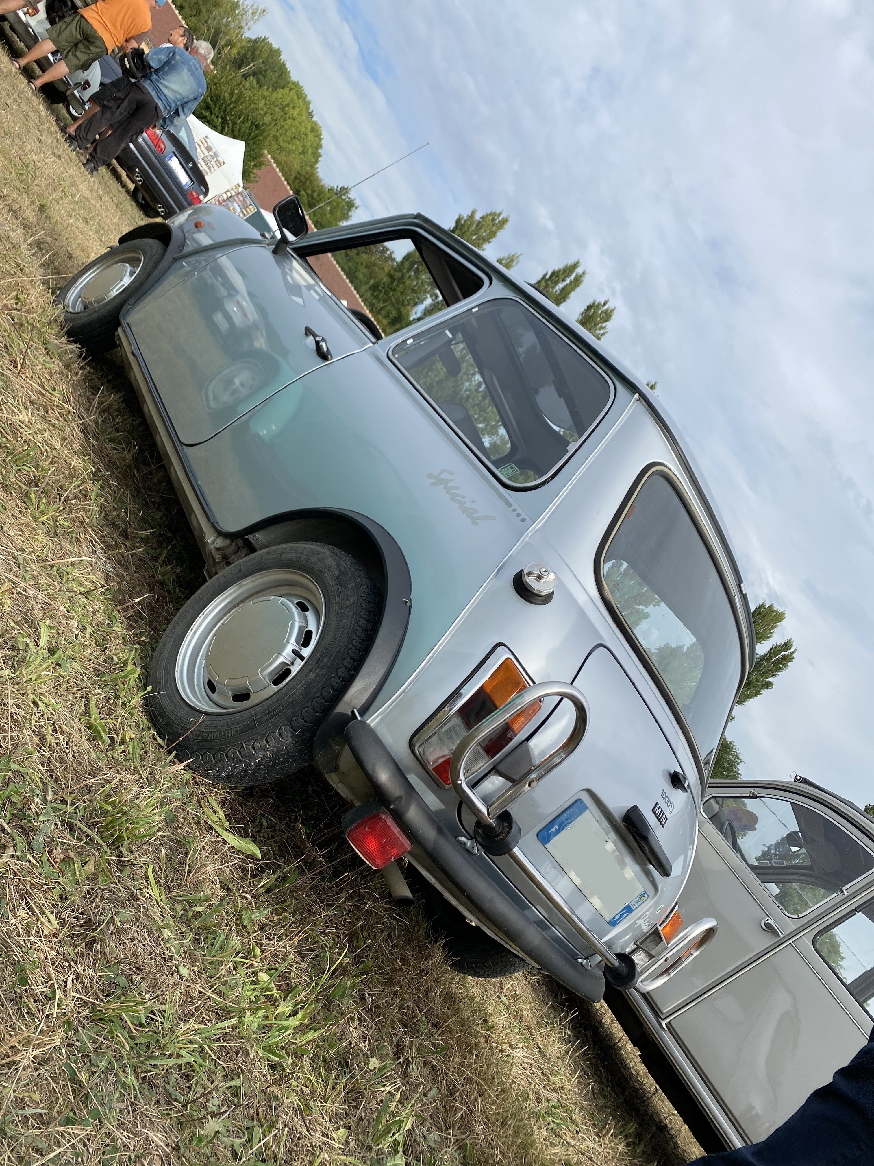 Mini grise 2