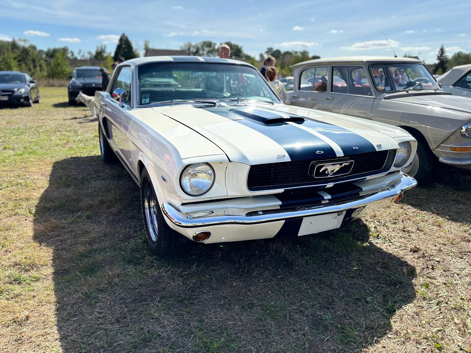 Mustang 66 1