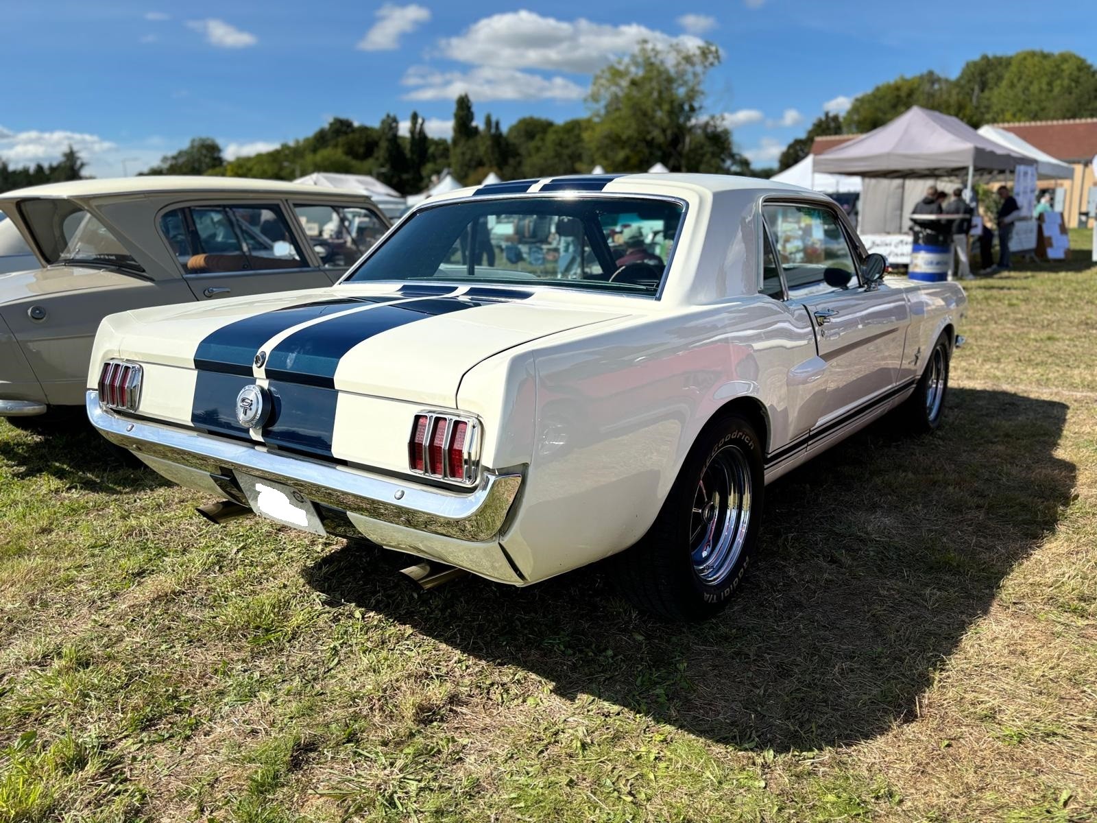 Mustang 66 2