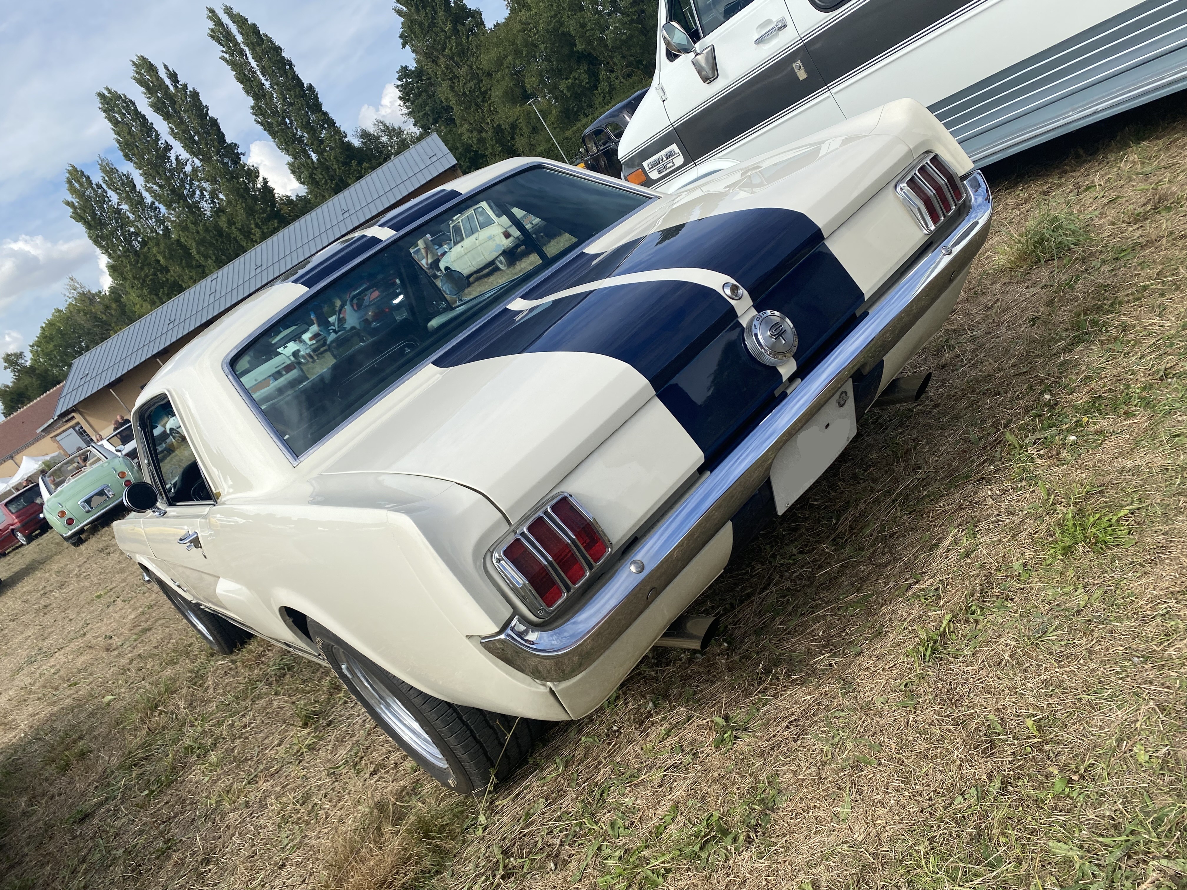 Mustang blanche 2