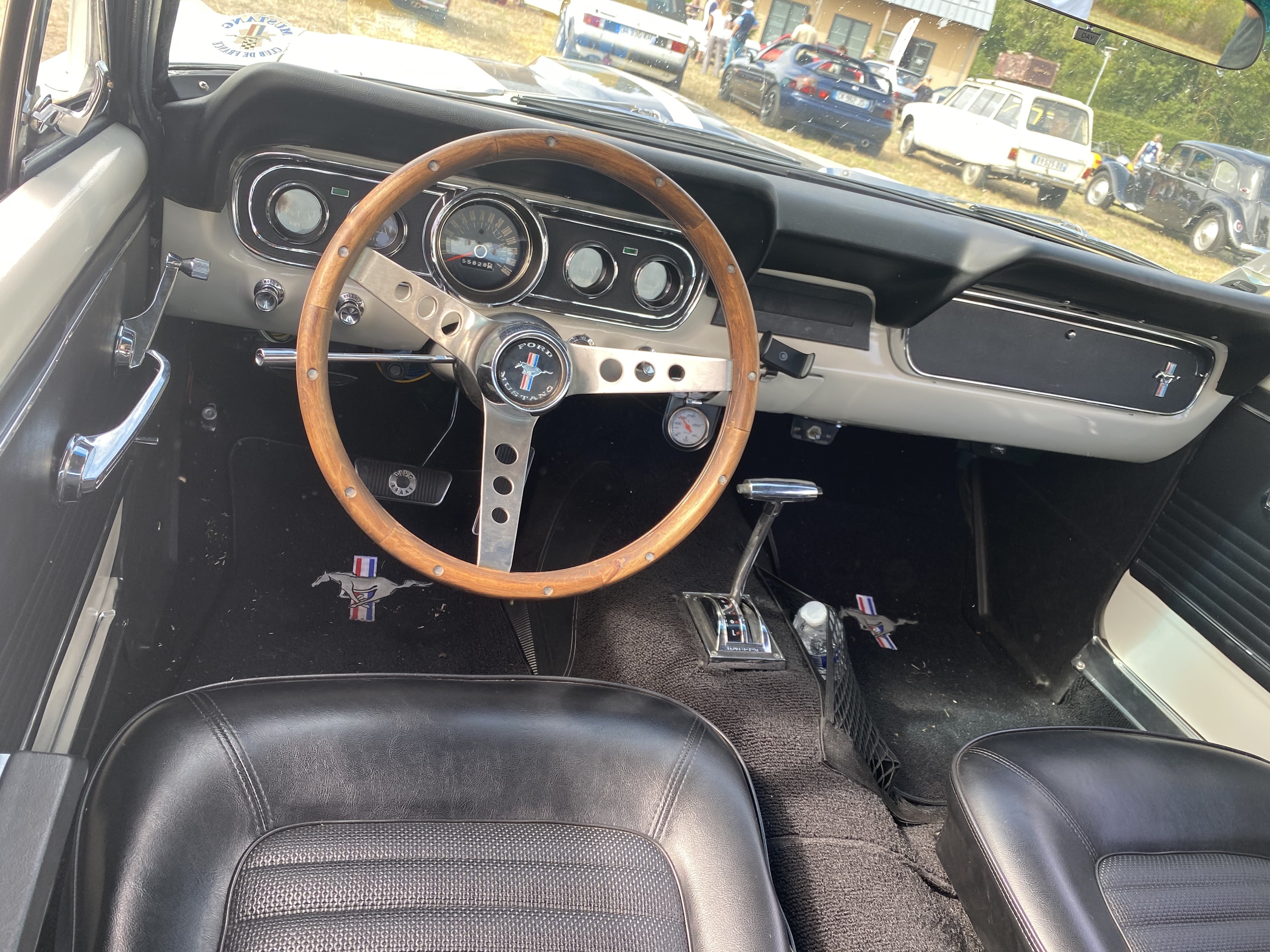 Mustang blanche 3