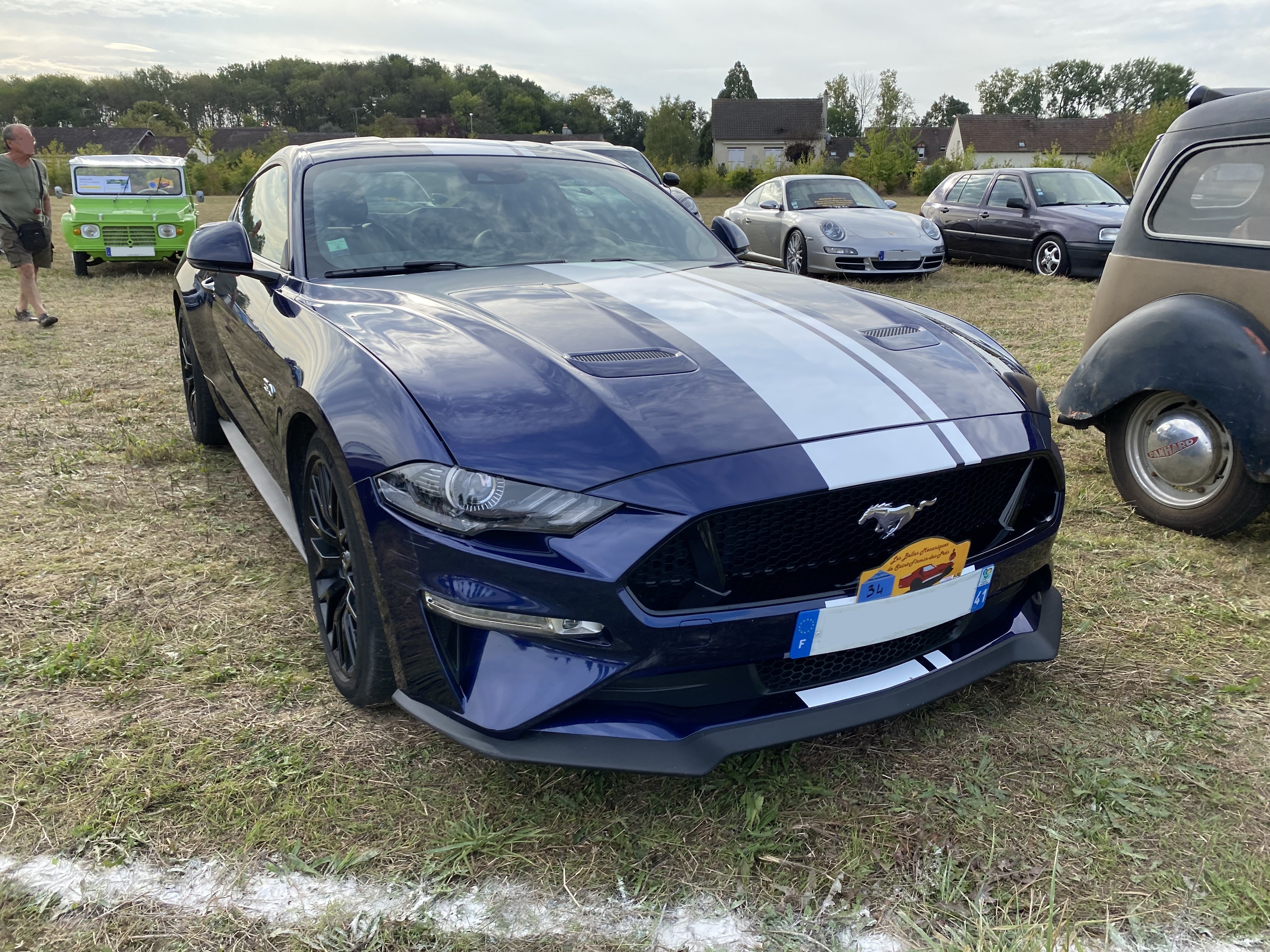 Mustang bleu 1