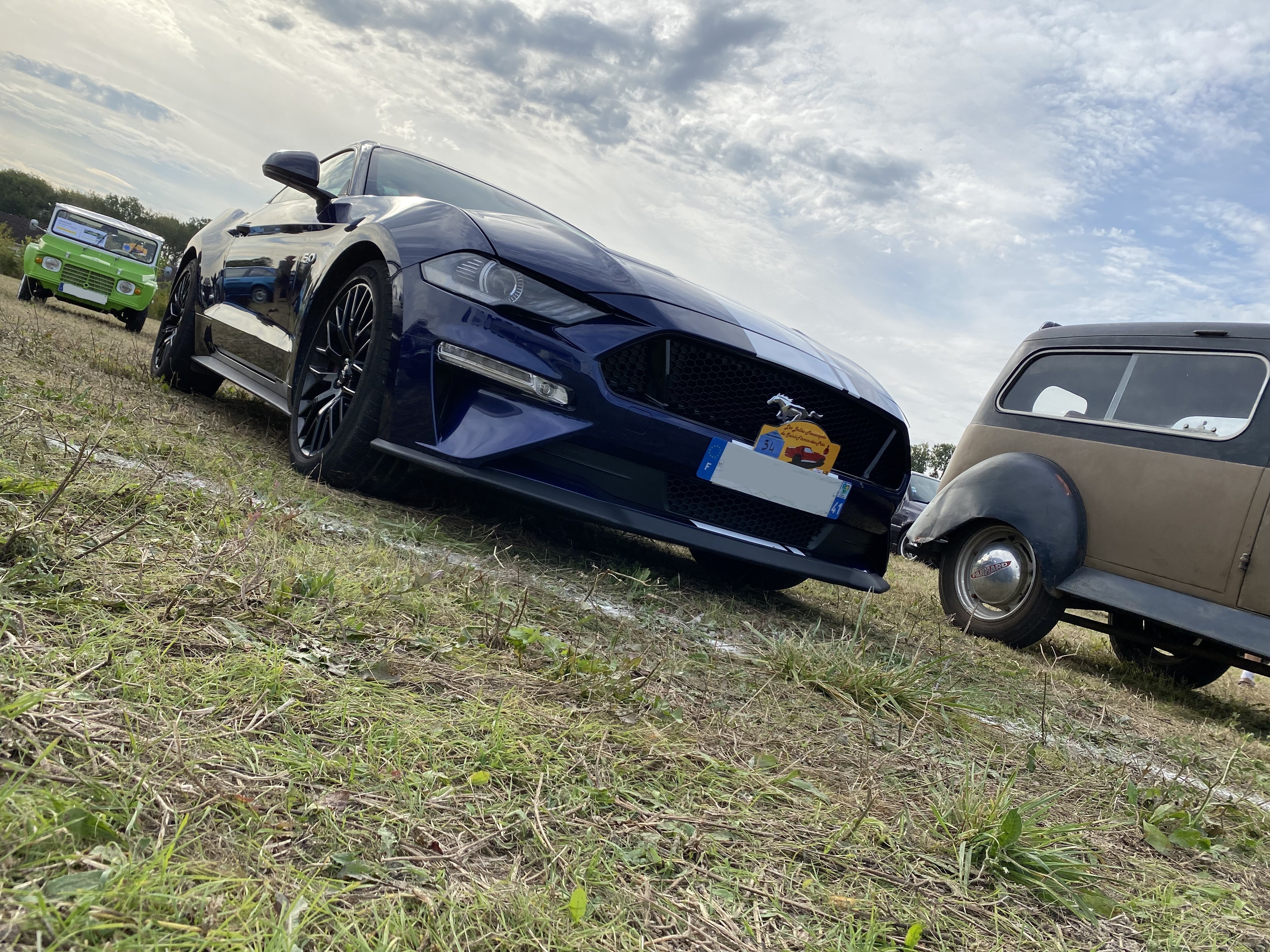 Mustang bleu 2