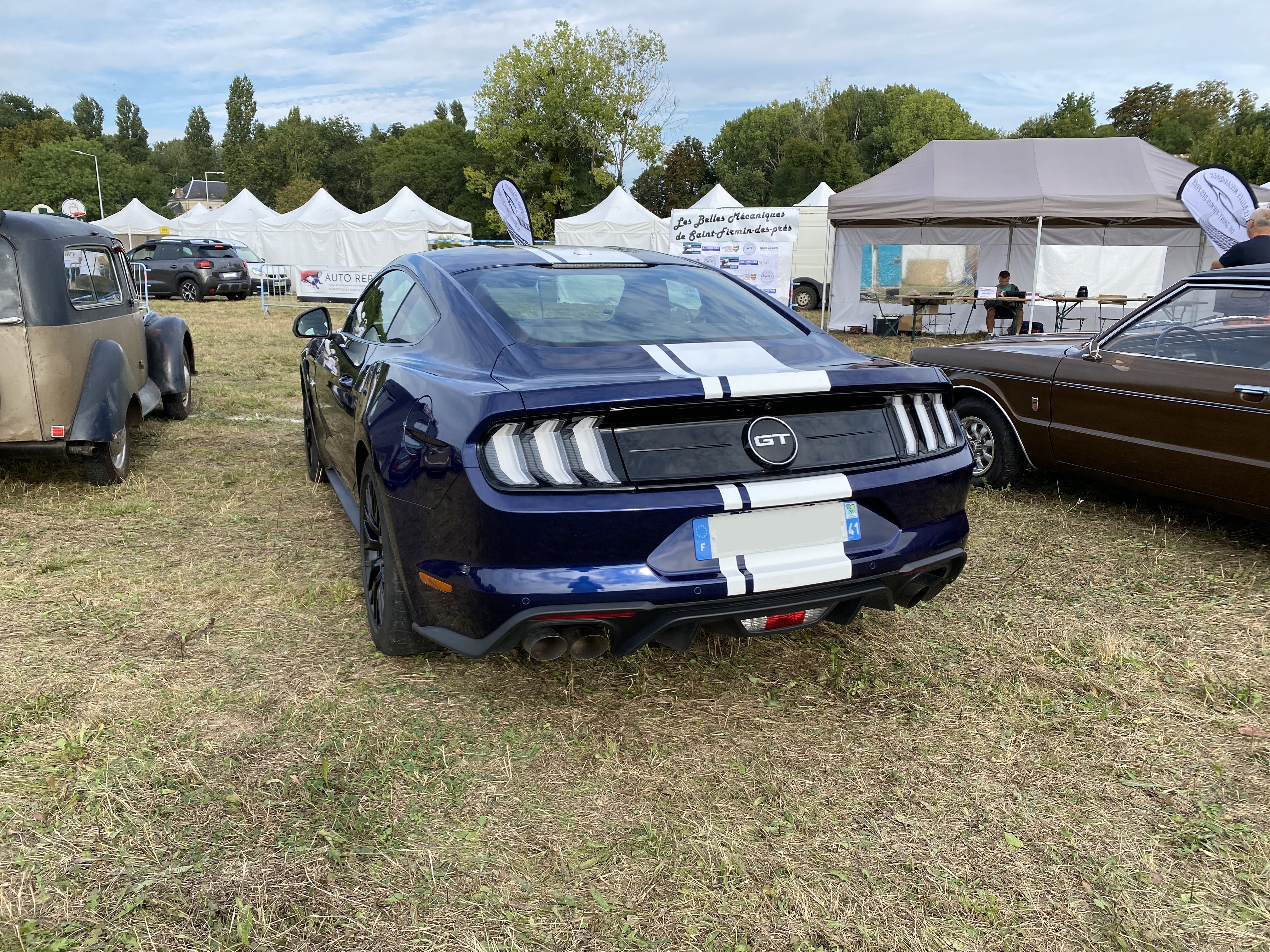 Mustang bleu 3