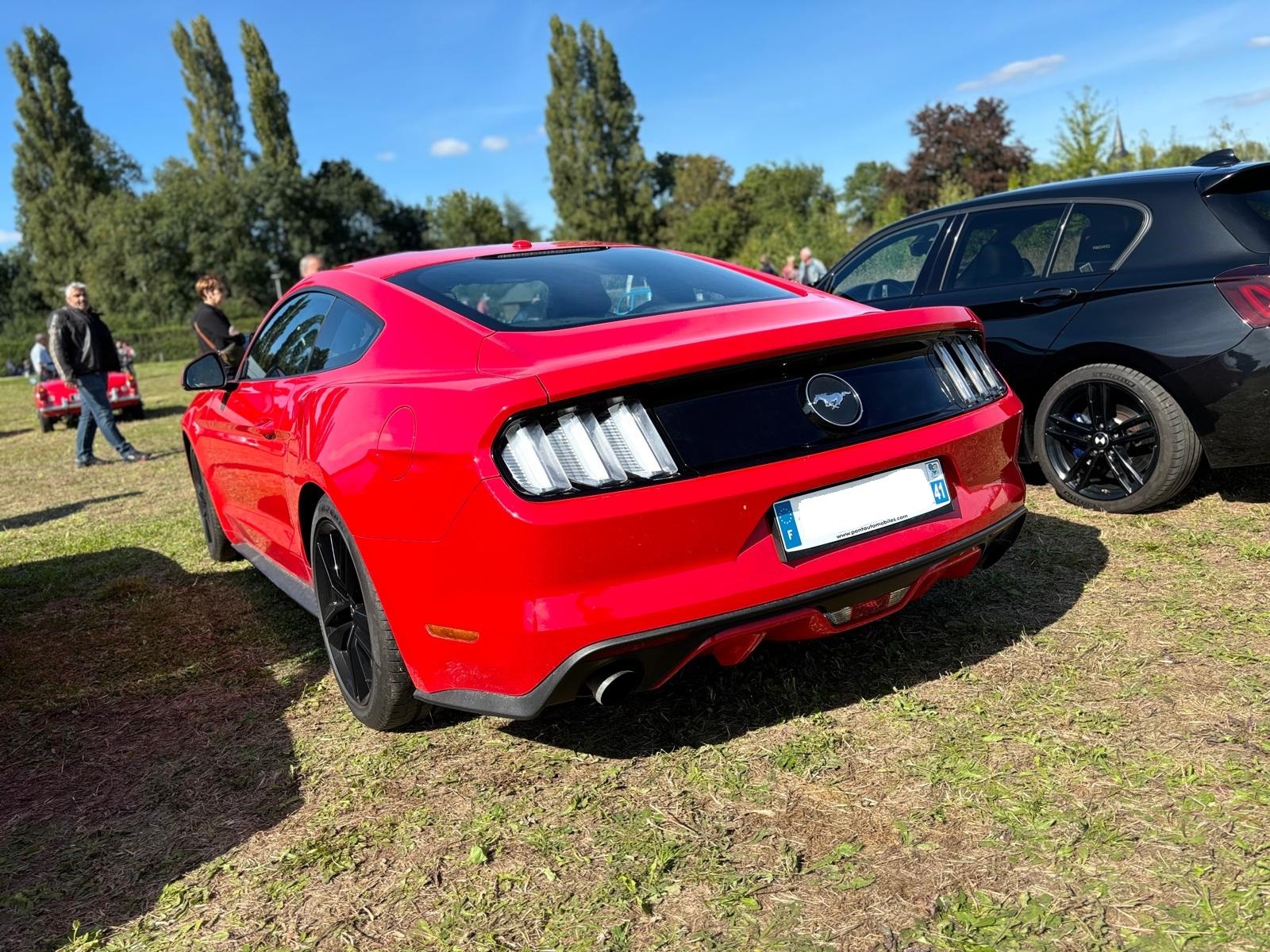Mustang rouge 2