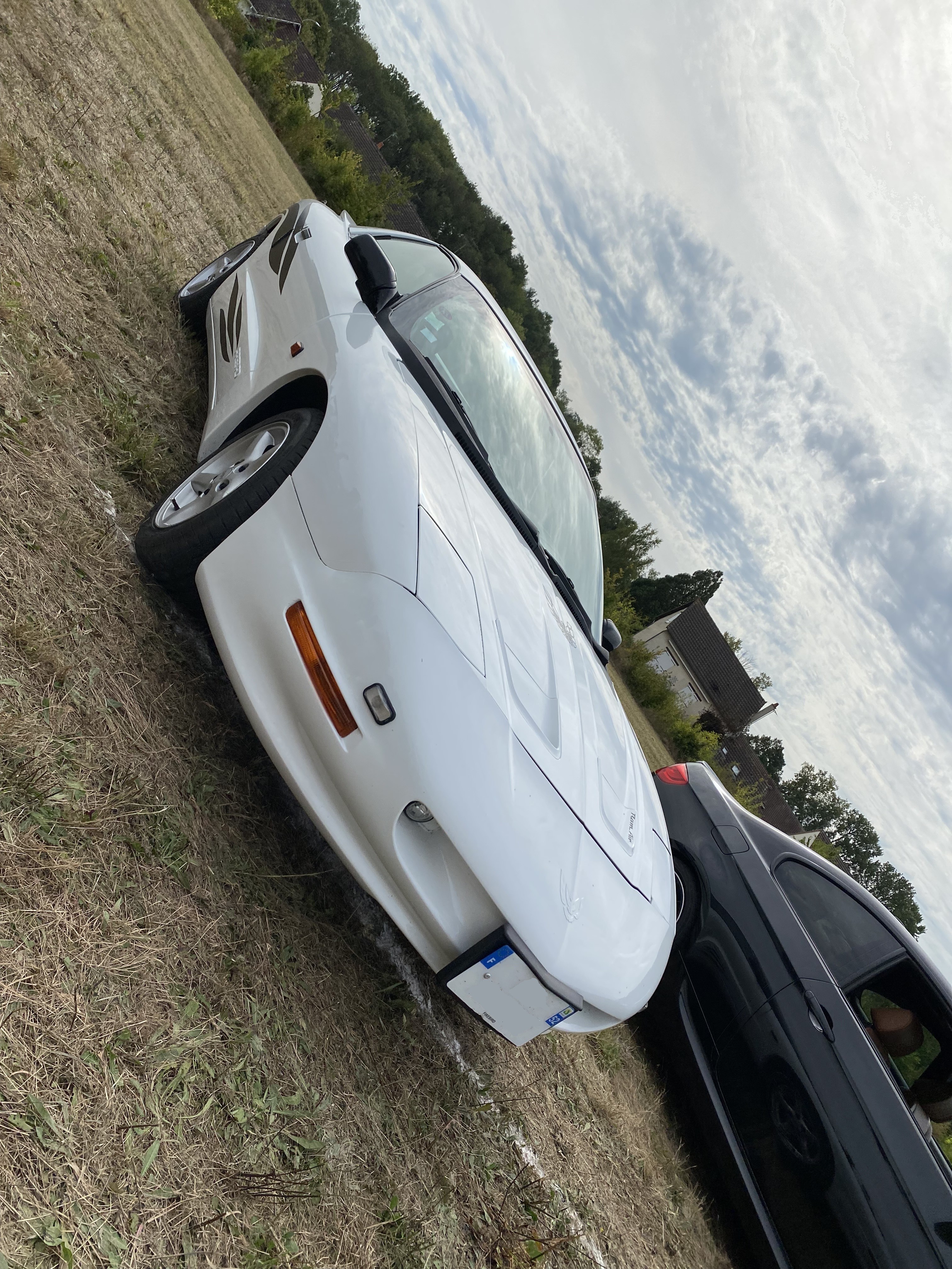 Pontiac blanche 1