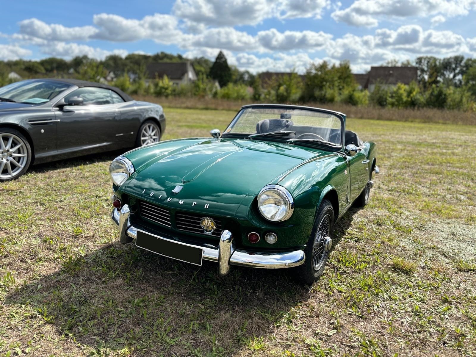 Spitfire verte 1
